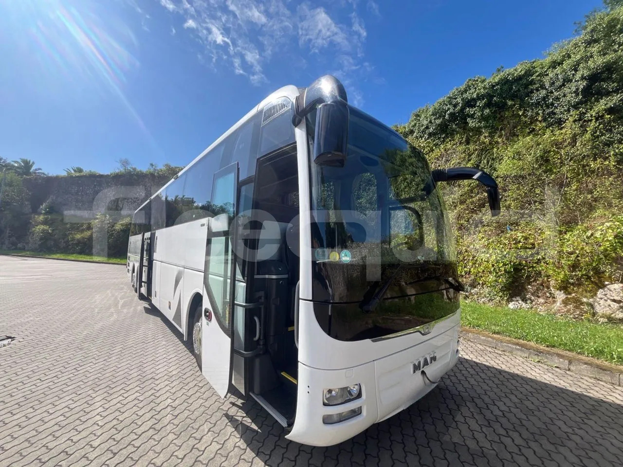 Man Lion's Coach - Coach: picture 1 Man Lion's Coach - Coach: picture 1