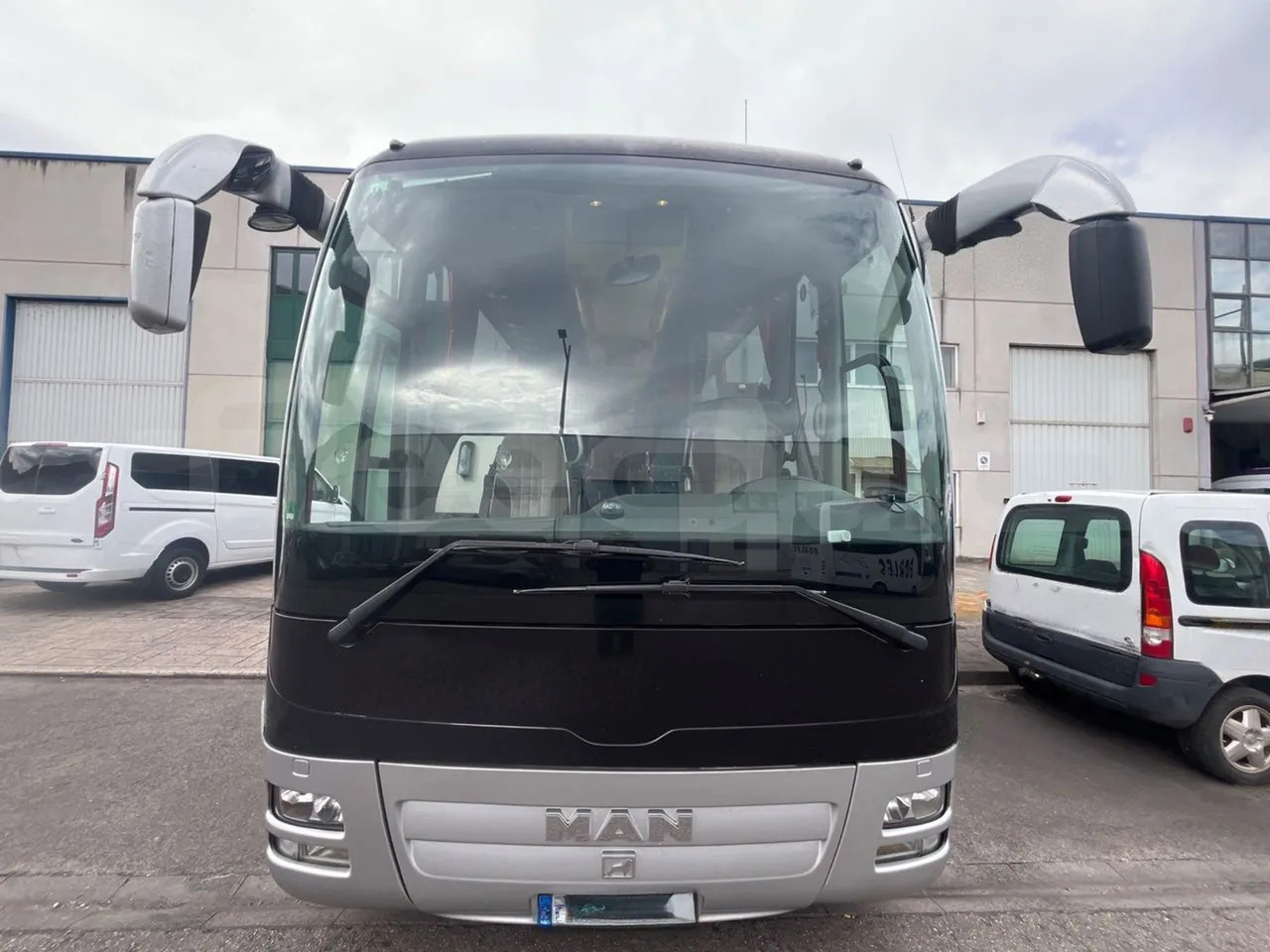 Man Lion's Coach - Coach: picture 2 Man Lion's Coach - Coach: picture 2