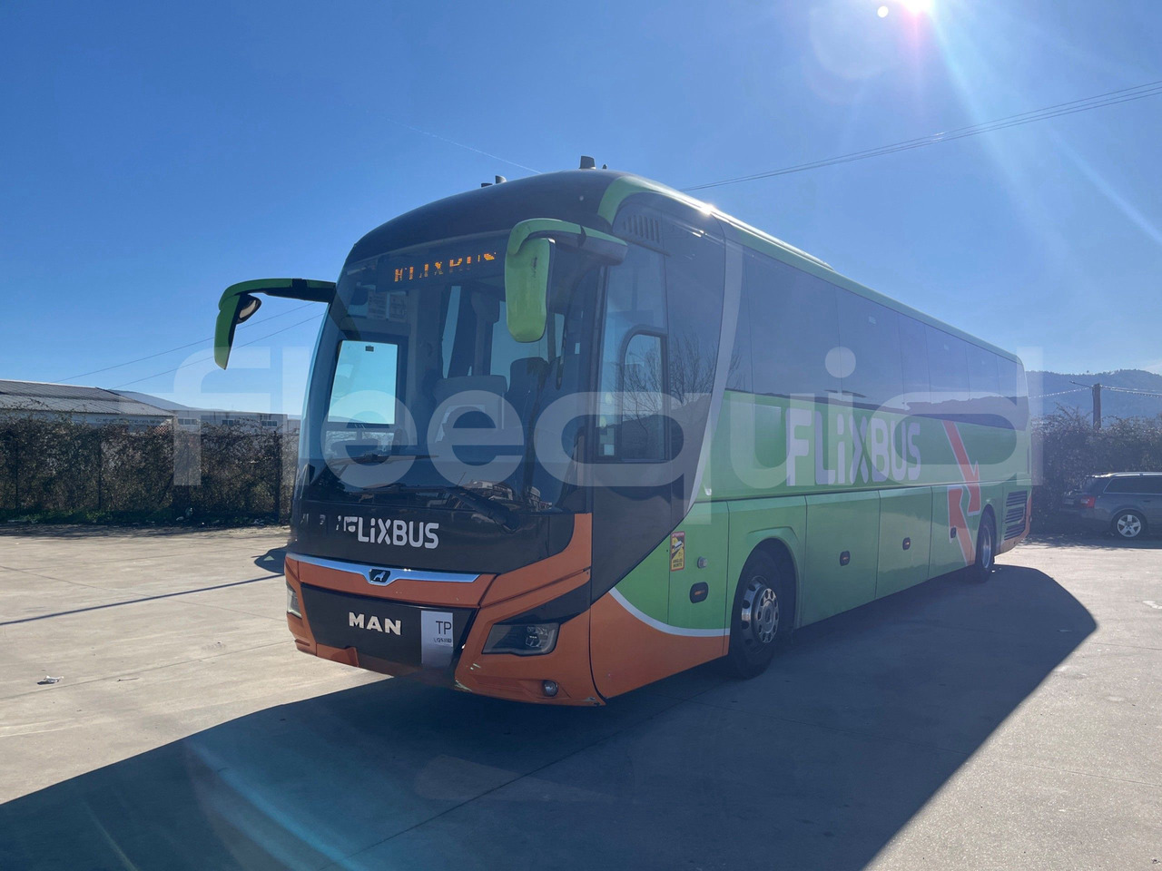 Man Lion's Coach - Coach: picture 4 Man Lion's Coach - Coach: picture 4