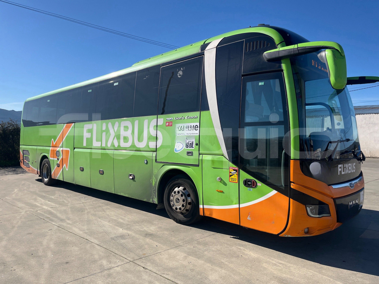 Man Lion's Coach - Coach: picture 1 Man Lion's Coach - Coach: picture 1
