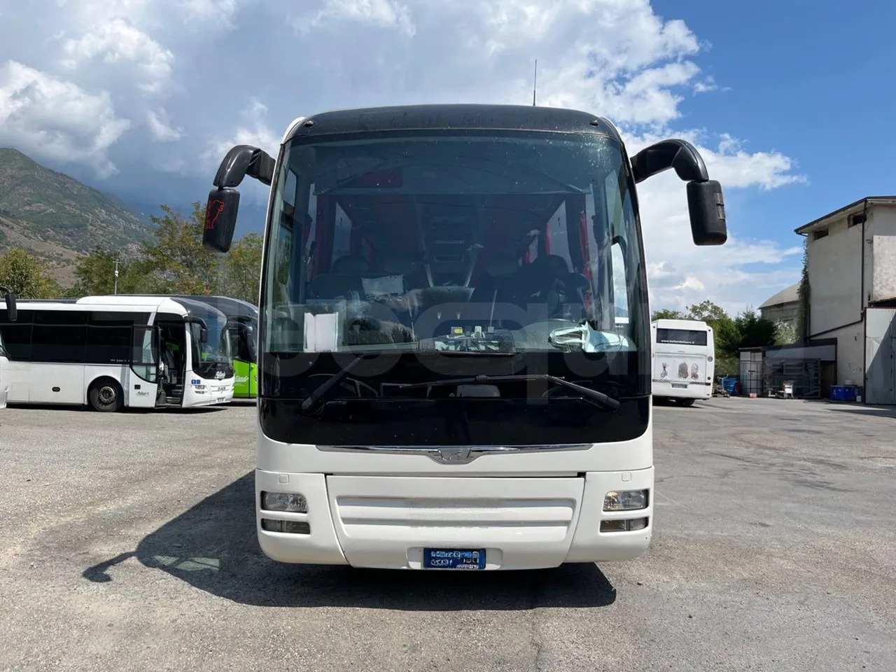 Man Lion's Coach - Coach: picture 2 Man Lion's Coach - Coach: picture 2