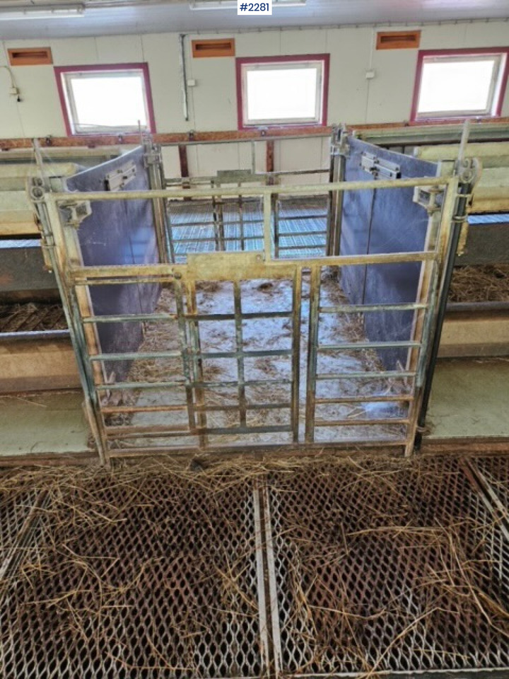 2015 Sheep furnishings from Reime - Livestock equipment: picture 5 2015 Sheep furnishings from Reime - Livestock equipment: picture 5
