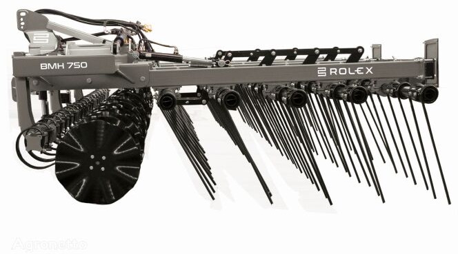 Rol/Ex BM hydraulicznie składana 3,0m - Spring tine harrow: picture 2 Rol/Ex BM hydraulicznie składana 3,0m - Spring tine harrow: picture 2