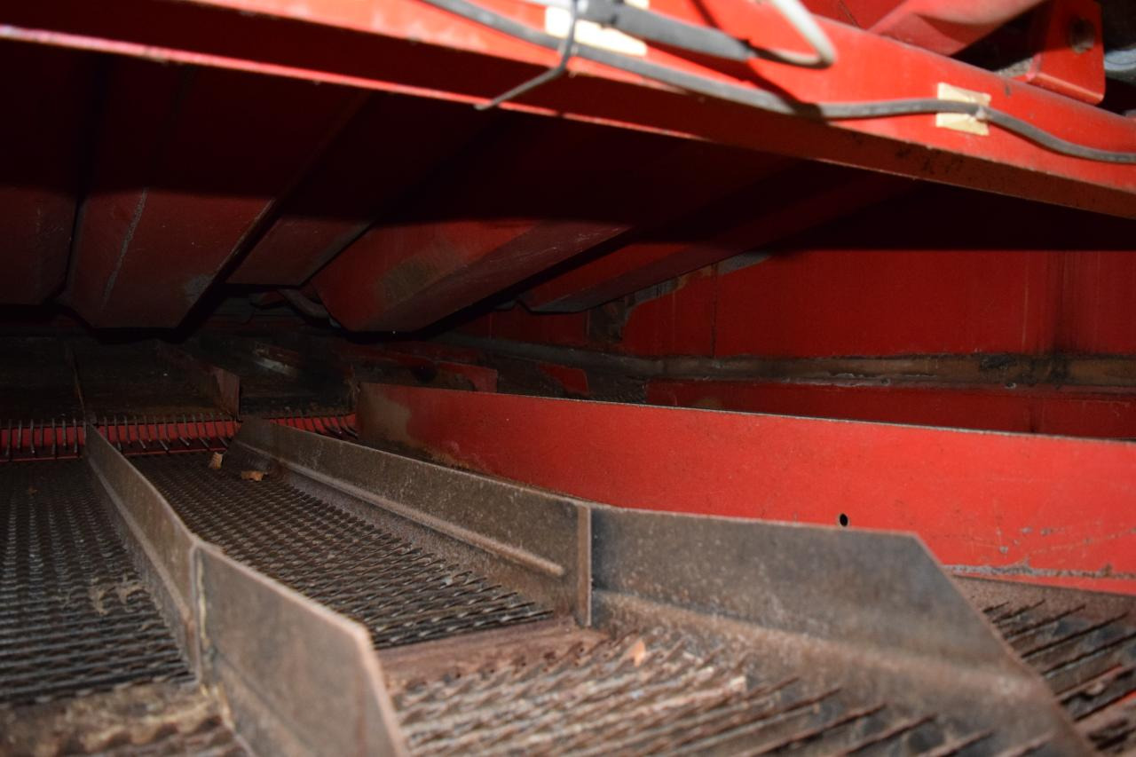 Leasing of Massey Ferguson MF 38 Massey Ferguson MF 38: picture 6