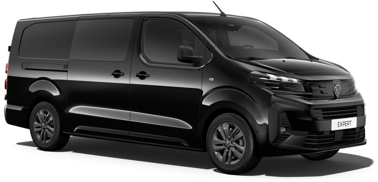Panel van PEUGEOT Expert XL 2.0 BlueHDi - 180 S&S - BV EAT8  III CABINE APPROFONDIE Fourgon Cabine approfondie Fix: picture 7