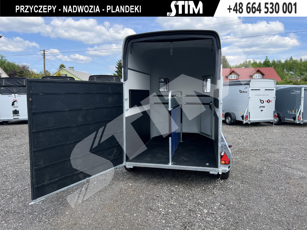 New Horse trailer Cheval Liberté GOLD ORIGINS PODŁOGA ALU, BOKI SKLEJKA PPL: picture 12