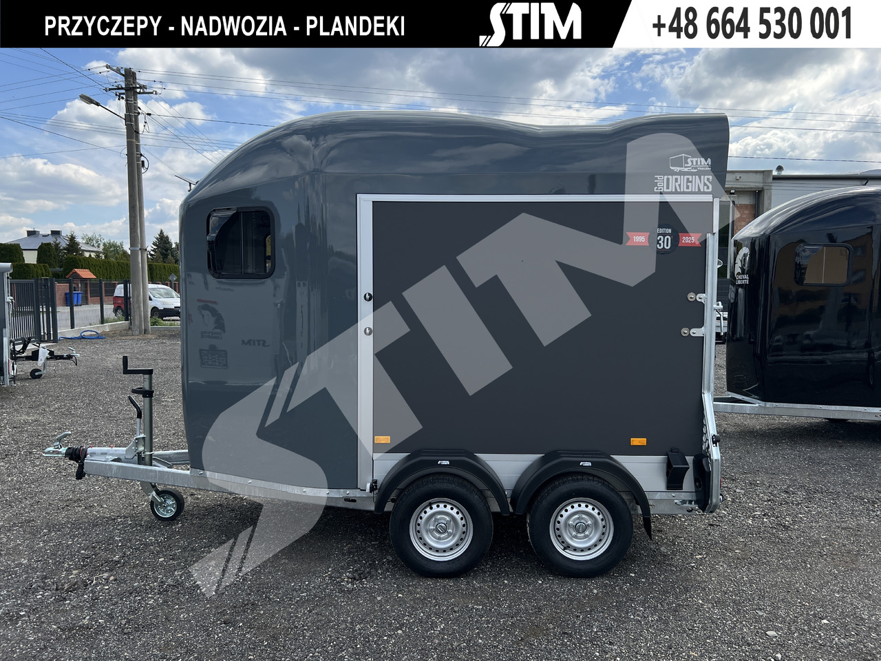 New Horse trailer Cheval Liberté GOLD ORIGINS PODŁOGA ALU, BOKI SKLEJKA PPL: picture 7