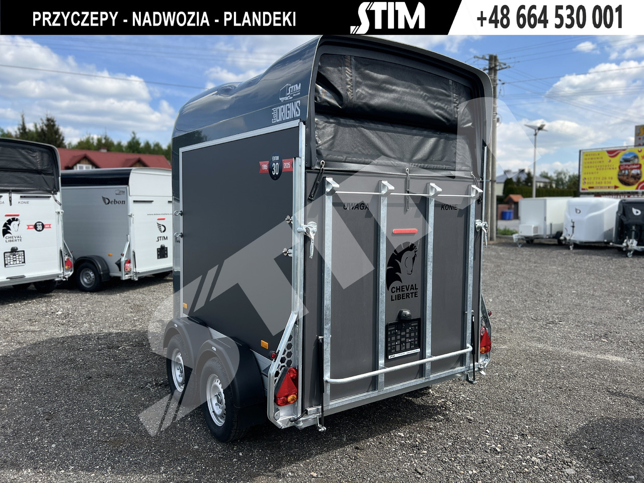 New Horse trailer Cheval Liberté GOLD ORIGINS PODŁOGA ALU, BOKI SKLEJKA PPL: picture 6