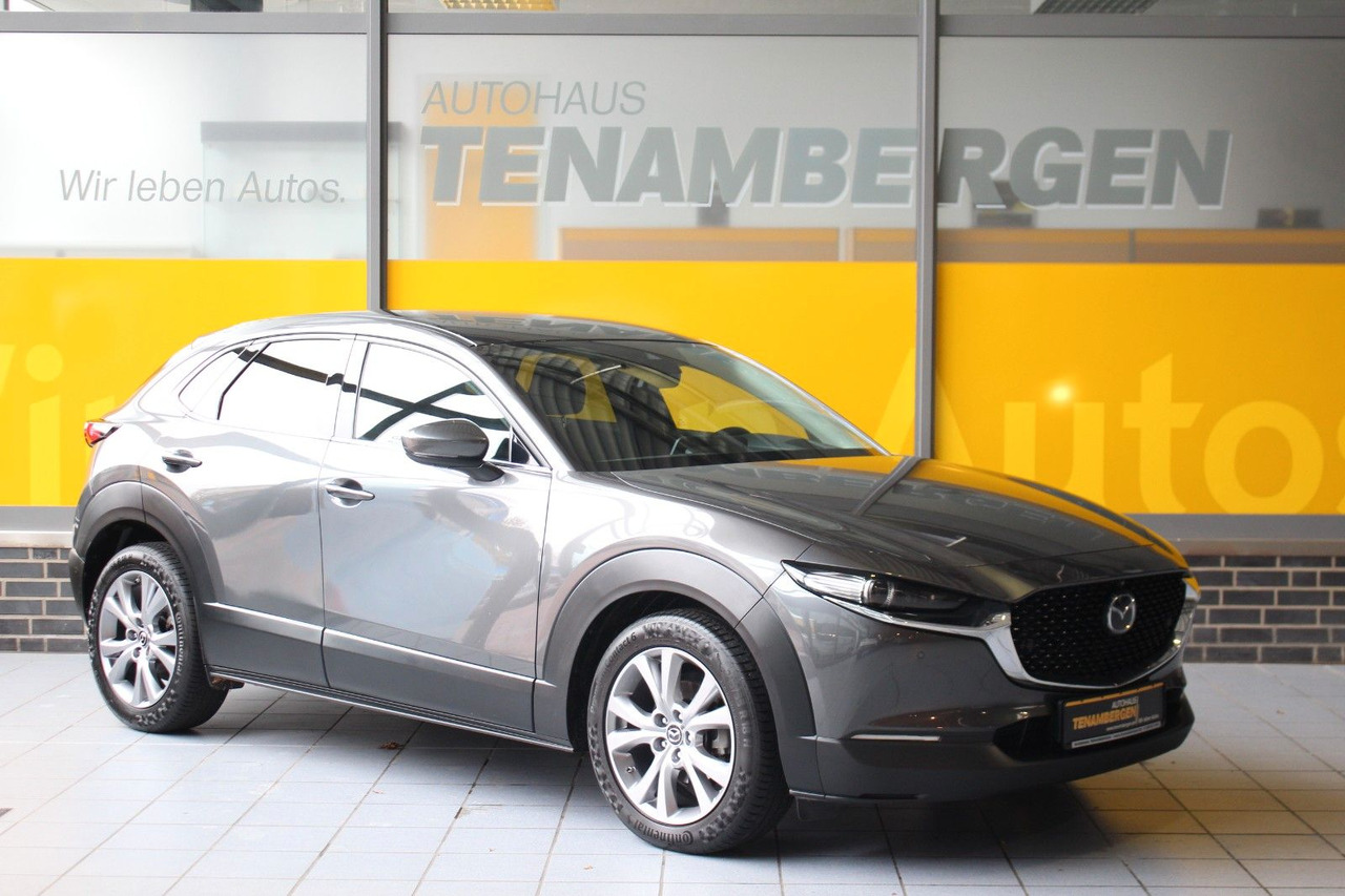 Mazda CX-30 Selection 2WD Matrix Bose HuD Navi SR + WR - SUV: picture 1 Mazda CX-30 Selection 2WD Matrix Bose HuD Navi SR + WR - SUV: picture 1