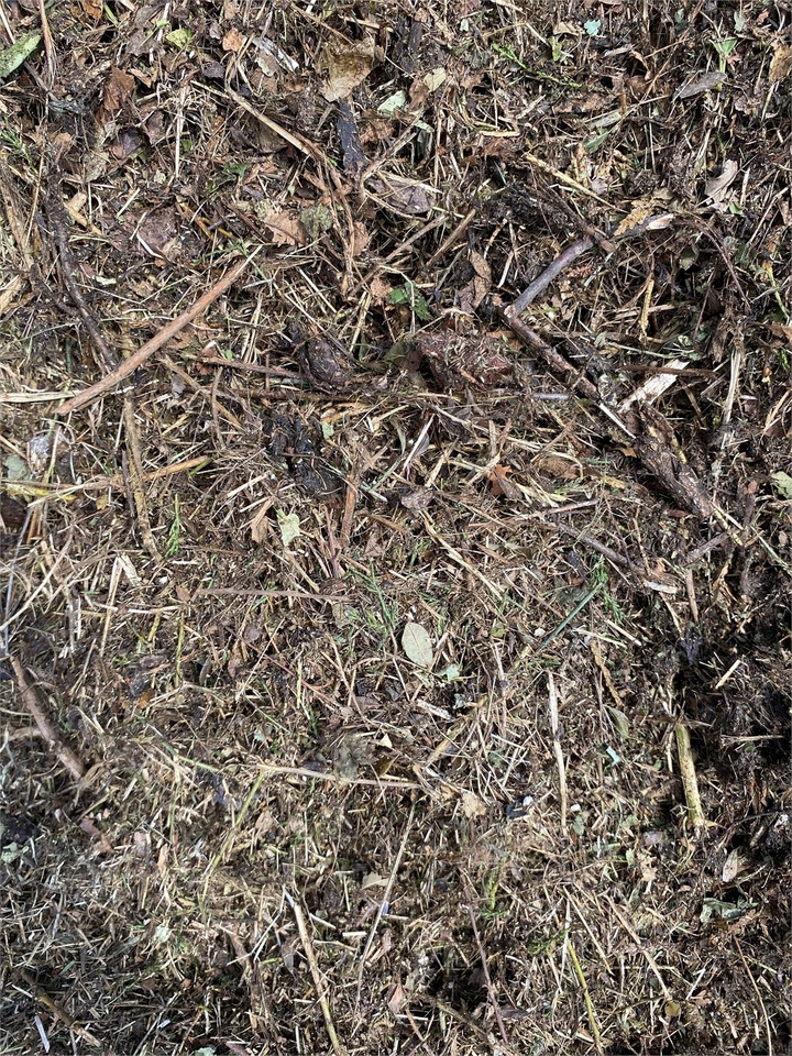 Straw shredder Bizon B-1030 Kompost Schredder Biomasse Mist Compost shr: picture 8 Straw shredder Bizon B-1030 Kompost Schredder Biomasse Mist Compost shr: picture 8