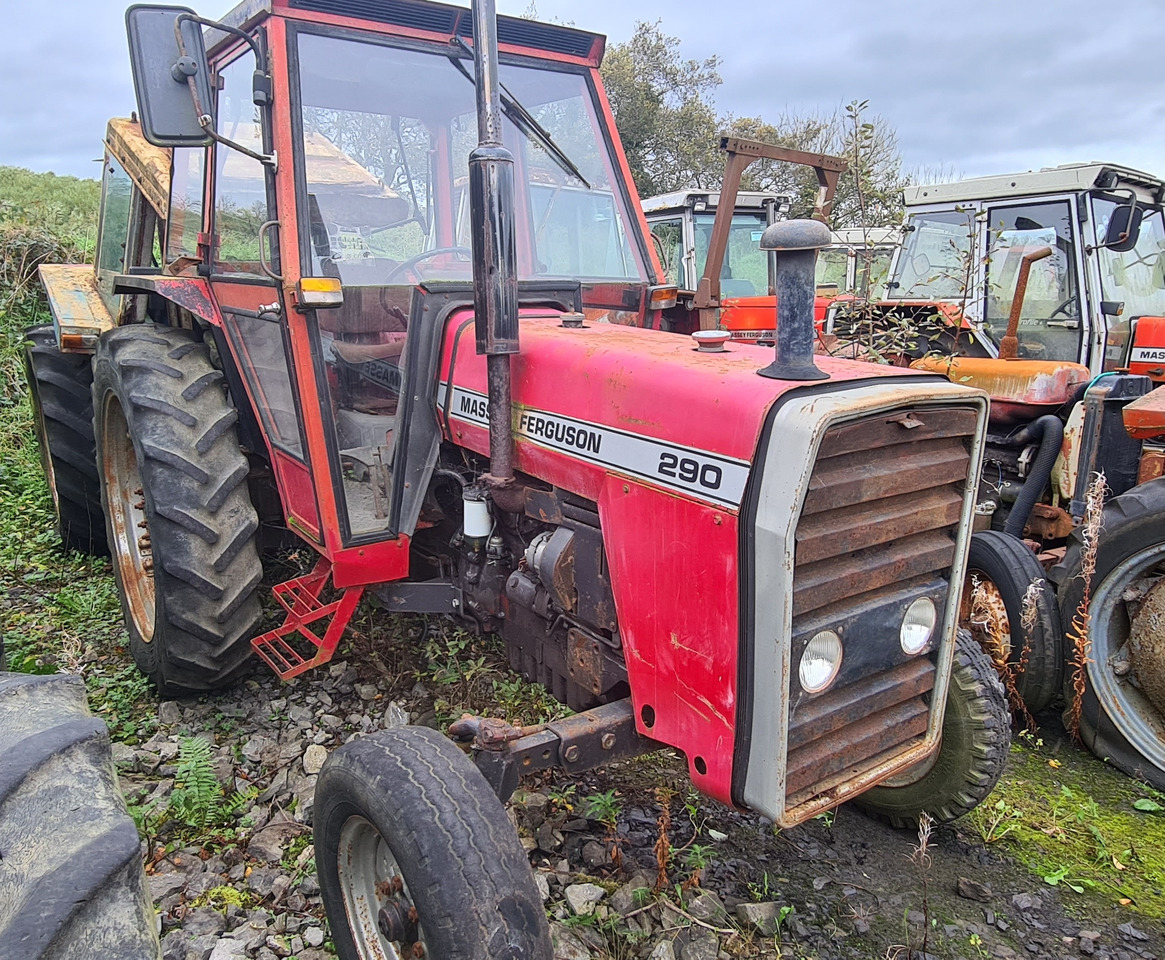 290 2wd - Farm tractor: picture 1 290 2wd - Farm tractor: picture 1