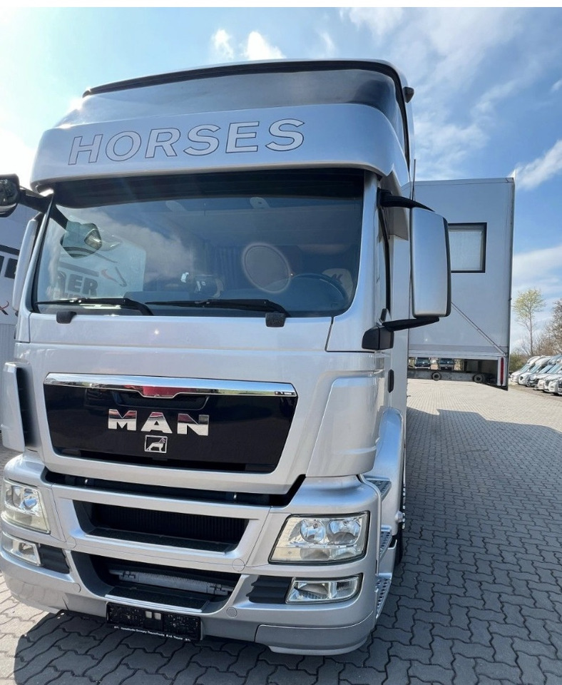 MAN 26.480 5 pferde - Horse truck: picture 3 MAN 26.480 5 pferde - Horse truck: picture 3
