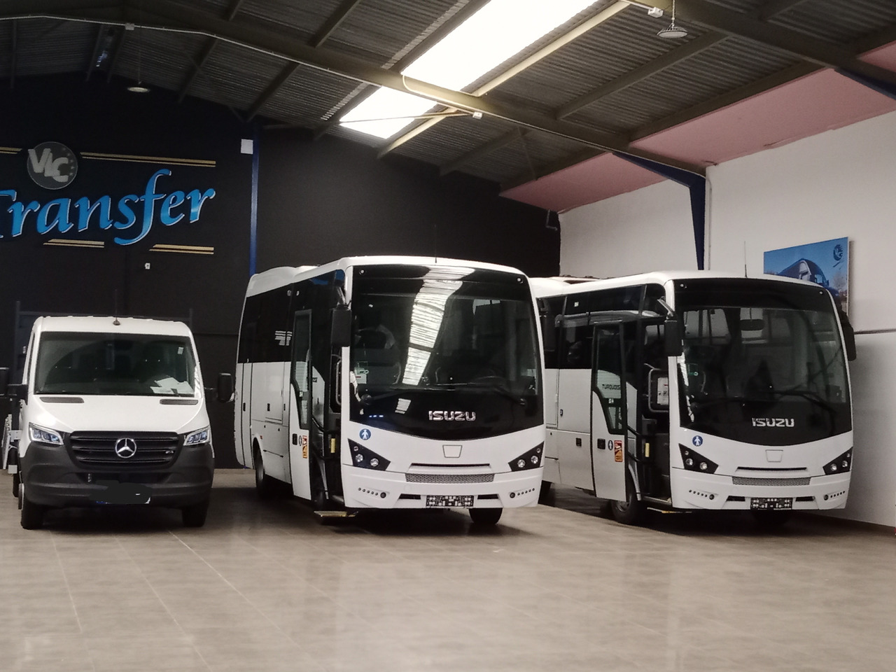 ISUZU TURQUOISE - Coach: picture 1 ISUZU TURQUOISE - Coach: picture 1