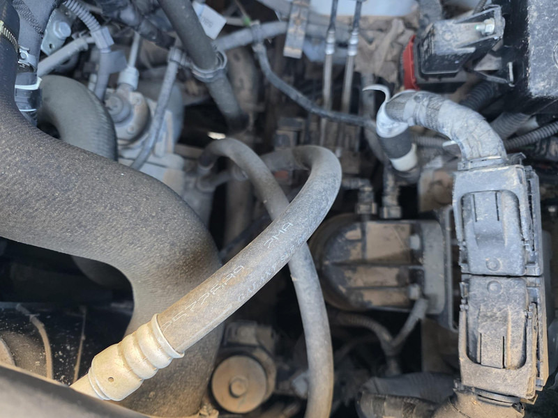 New Cab chassis truck Iveco Daily 35S14: picture 6