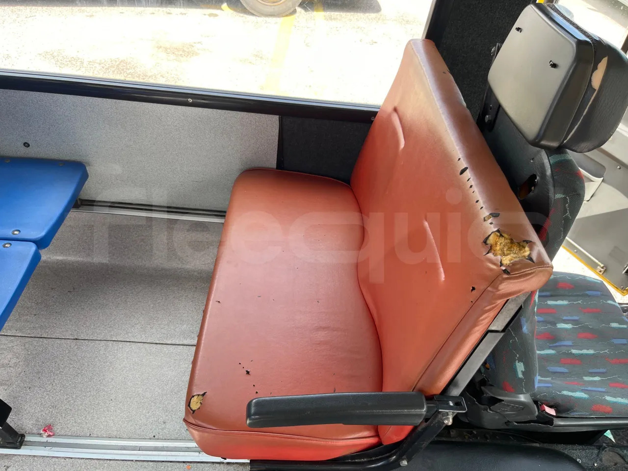 School bus Iveco Cacciamali: picture 18