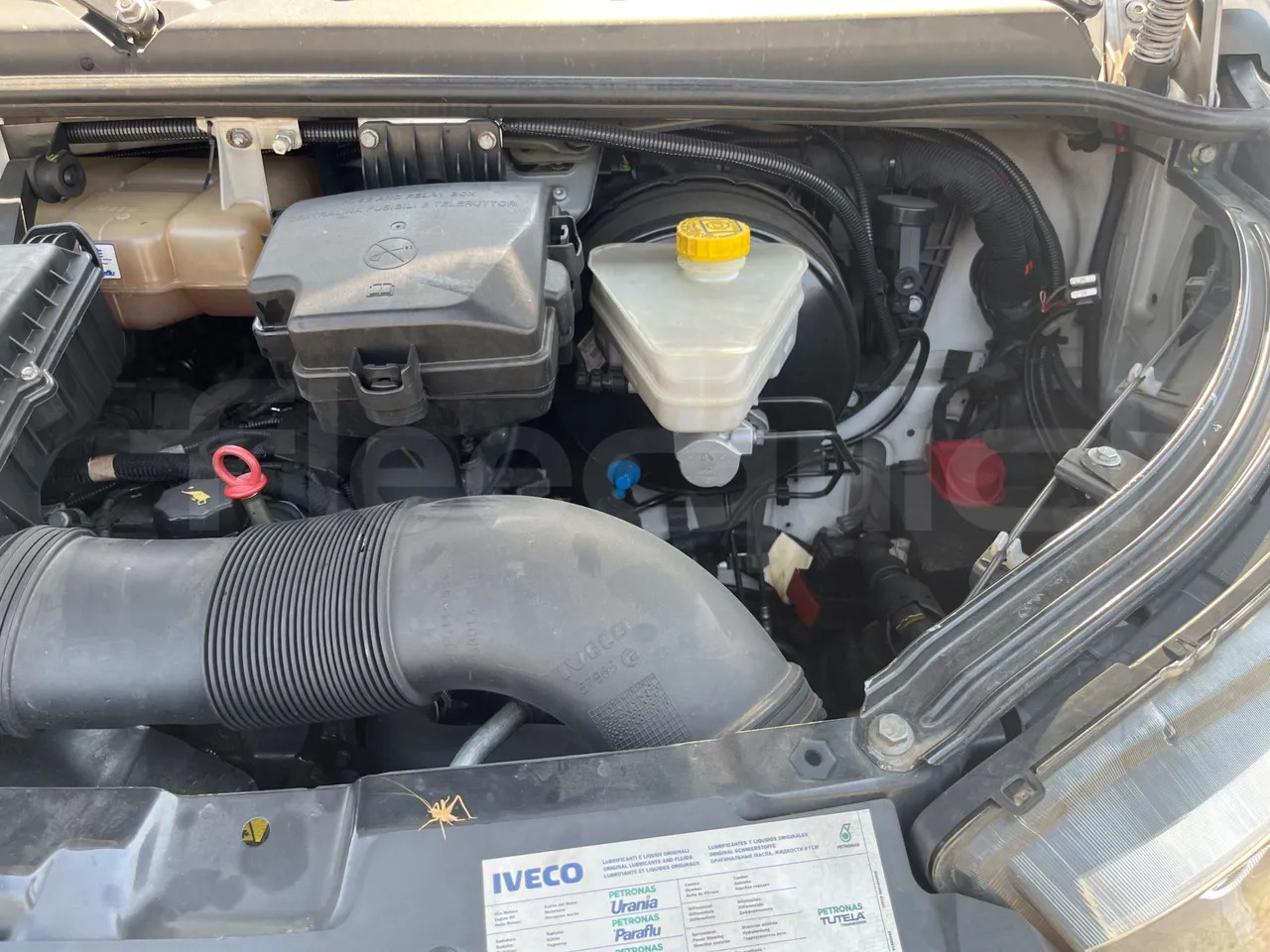 Minibus, Passenger van Iveco Daily: picture 15