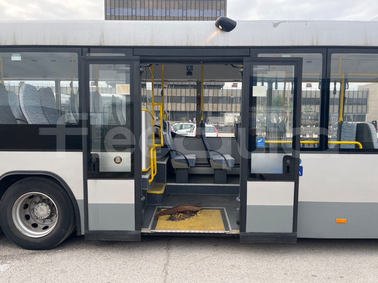 Suburban bus Man Lion's Classic: picture 13 Suburban bus Man Lion's Classic: picture 13