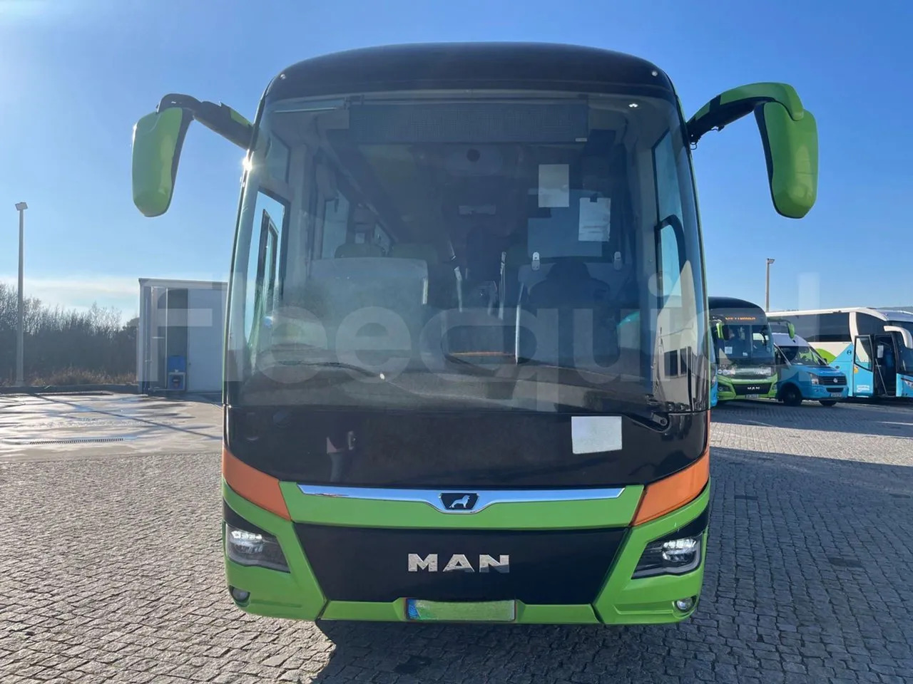 Man Lion's Coach - Coach: picture 2 Man Lion's Coach - Coach: picture 2