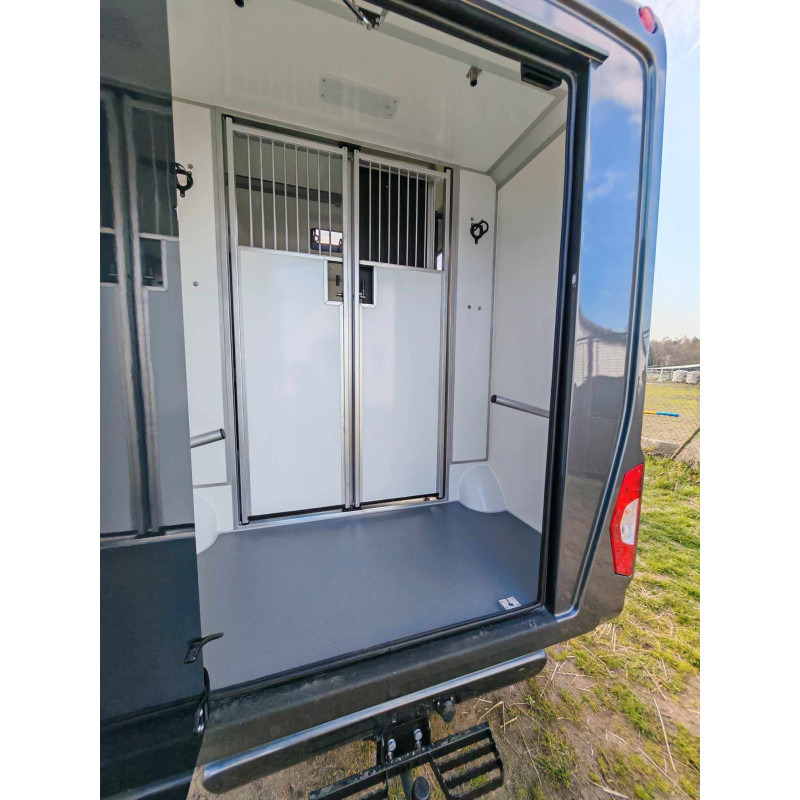 New Horse truck for transportation of animals STX Ford Transit by Stephex: picture 10 New Horse truck for transportation of animals STX Ford Transit by Stephex: picture 10