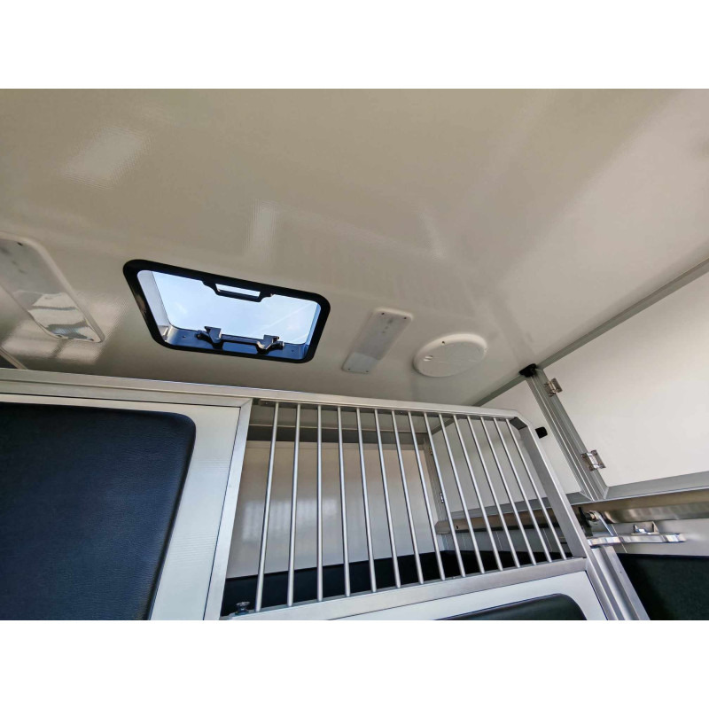 New Horse truck for transportation of animals STX Ford Transit by Stephex: picture 21 New Horse truck for transportation of animals STX Ford Transit by Stephex: picture 21