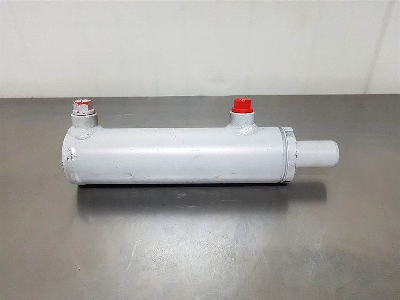 Cilinder D3050125C - Cylinder/Zylinder - Hydraulics for Construction machinery: picture 1 Cilinder D3050125C - Cylinder/Zylinder - Hydraulics for Construction machinery: picture 1