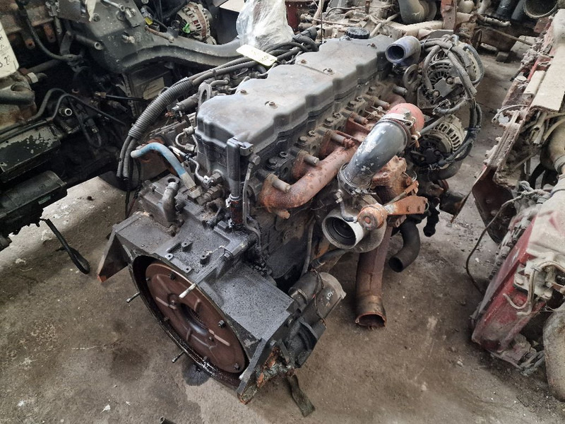 Iveco F4AE0682C - Engine: picture 4 Iveco F4AE0682C - Engine: picture 4