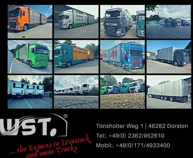 Closed box semi-trailer Krone Kühlauflieger Carrier Vector 1550 Rohrbahn: picture 25