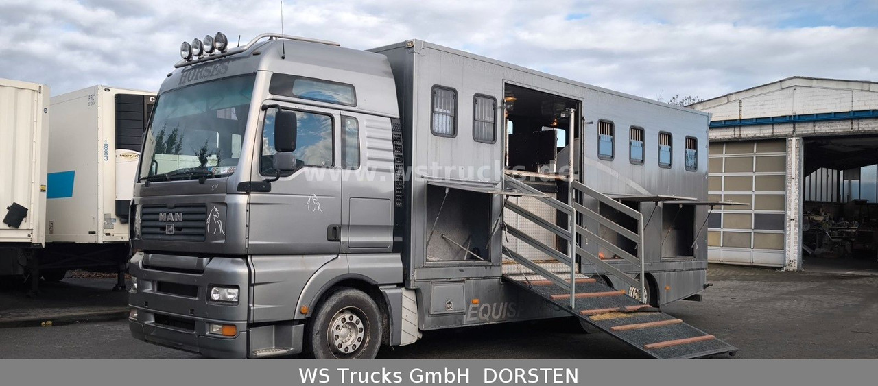 MAN TGA 26.480 FG 6x2 Pferdetransporter Luft/Luft - Horse truck: picture 1 MAN TGA 26.480 FG 6x2 Pferdetransporter Luft/Luft - Horse truck: picture 1