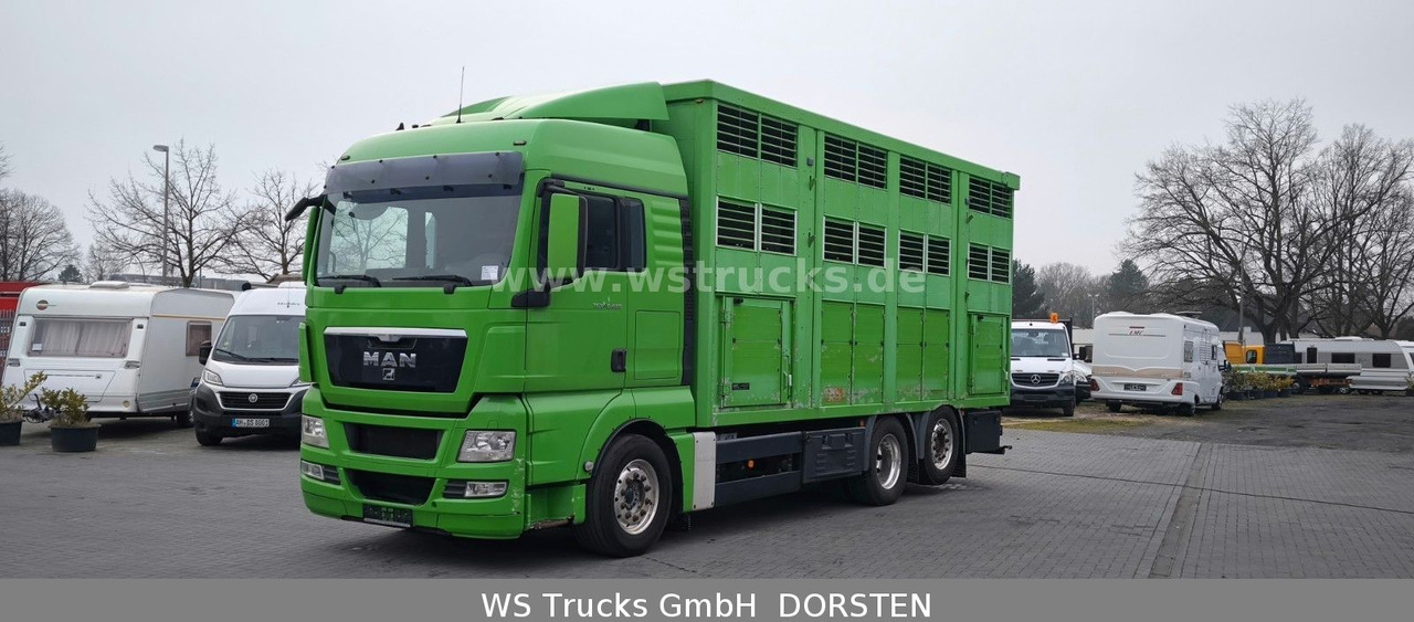 MAN TGX 26.480 XL KABA 3 Stock Vollalu - Horse truck: picture 2 MAN TGX 26.480 XL KABA 3 Stock Vollalu - Horse truck: picture 2