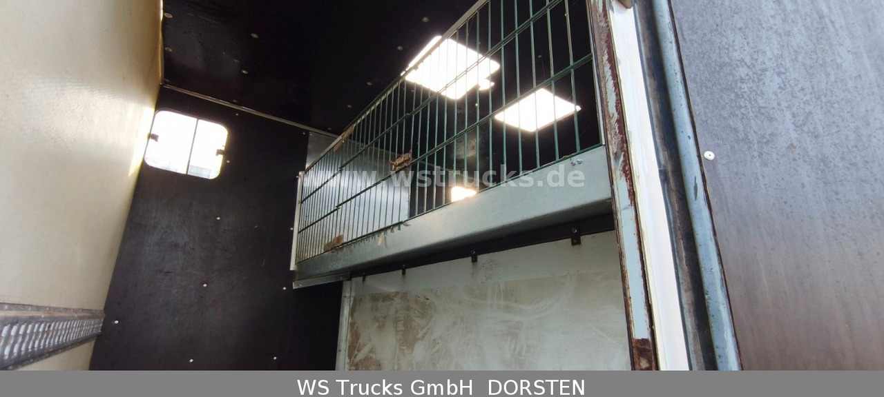 Livestock truck Renault Mascott Pferdeaufbau 2 Pferde: picture 9 Livestock truck Renault Mascott Pferdeaufbau 2 Pferde: picture 9