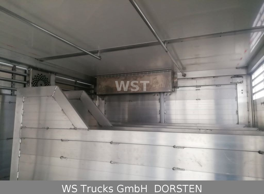Schmitz Cargobull BDF Menke Einstock "Neu Tandem - Livestock trailer: picture 4 Schmitz Cargobull BDF Menke Einstock "Neu Tandem - Livestock trailer: picture 4