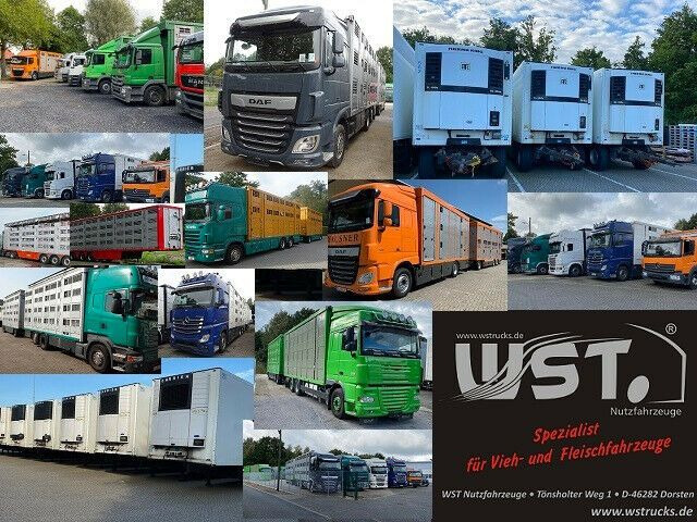 Closed box semi-trailer Schmitz Cargobull SKO 24 Kühlauflieger Vector 1850 MT, Bi-Temp: picture 16