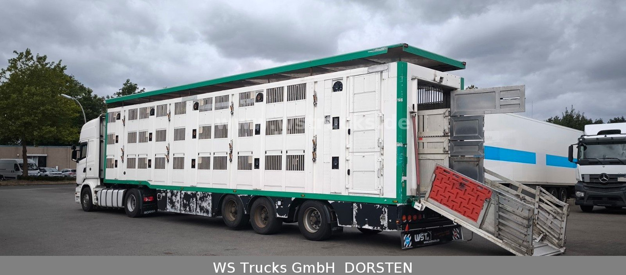 Scania R 450 + Menke-Janzen 3 Stock Hubdach - Tractor unit: picture 4 Scania R 450 + Menke-Janzen 3 Stock Hubdach - Tractor unit: picture 4