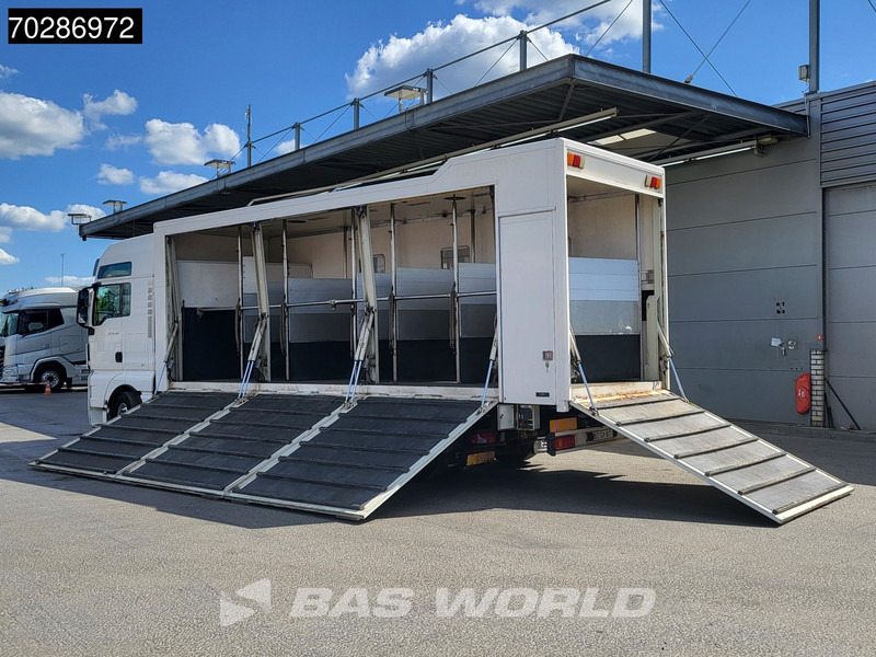 MAN TGX 26.480 TGX 6X2 NL-Truck BDF HorseTransport Lift+steering axle Standklima Automatic Xenon Alcoa´s Euro 5 - Container transporter/ Swap body truck: picture 2 MAN TGX 26.480 TGX 6X2 NL-Truck BDF HorseTransport Lift+steering axle Standklima Automatic Xenon Alcoa´s Euro 5 - Container transporter/ Swap body truck: picture 2
