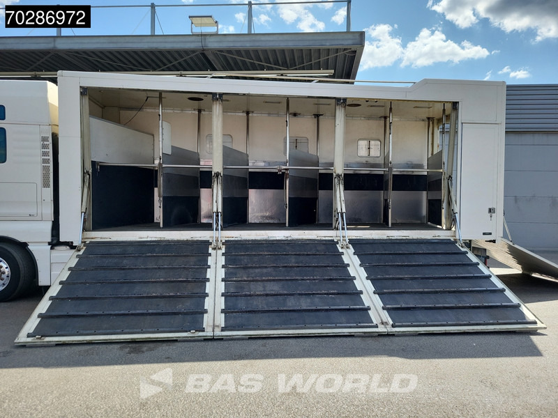 MAN TGX 26.480 TGX 6X2 NL-Truck BDF HorseTransport Lift+steering axle Standklima Automatic Xenon Alcoa´s Euro 5 - Container transporter/ Swap body truck: picture 3 MAN TGX 26.480 TGX 6X2 NL-Truck BDF HorseTransport Lift+steering axle Standklima Automatic Xenon Alcoa´s Euro 5 - Container transporter/ Swap body truck: picture 3