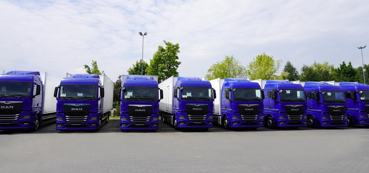 MAN New TGX 26.400 / NEW IGLOOCAR refrigerator 20 pallets / 6×2 / 2024 / 2 units - Isothermal truck: picture 3 MAN New TGX 26.400 / NEW IGLOOCAR refrigerator 20 pallets / 6×2 / 2024 / 2 units - Isothermal truck: picture 3