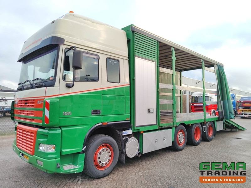 DAF FAK XF95.430 8x2 Super SuperSpaceCab Euro3 - CurtainSider 7.31m + Ramp 16T - MachineTransporter - 6 Persons (V558) - Autotransporter truck: picture 1 DAF FAK XF95.430 8x2 Super SuperSpaceCab Euro3 - CurtainSider 7.31m + Ramp 16T - MachineTransporter - 6 Persons (V558) - Autotransporter truck: picture 1