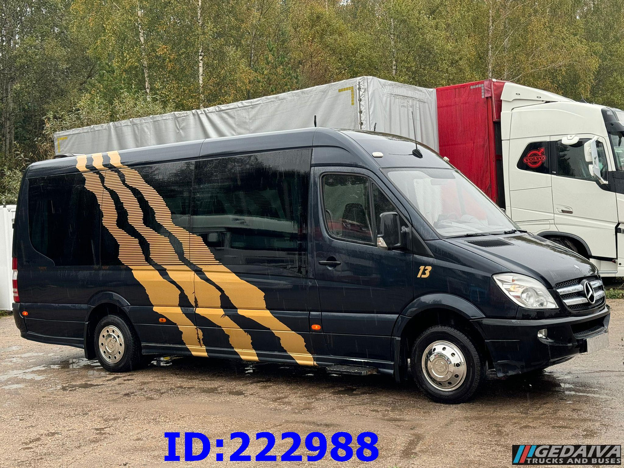 MERCEDES-BENZ Sprinter 519 VIP - 17 Seater - Coach: picture 4 MERCEDES-BENZ Sprinter 519 VIP - 17 Seater - Coach: picture 4