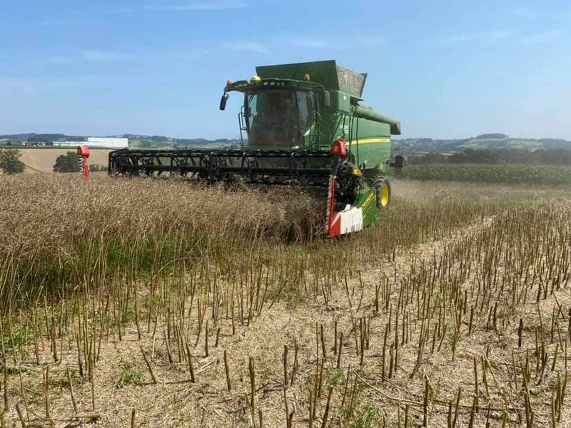 Cressoni CRX 6,6m Sojaflex - Grain header: picture 3 Cressoni CRX 6,6m Sojaflex - Grain header: picture 3