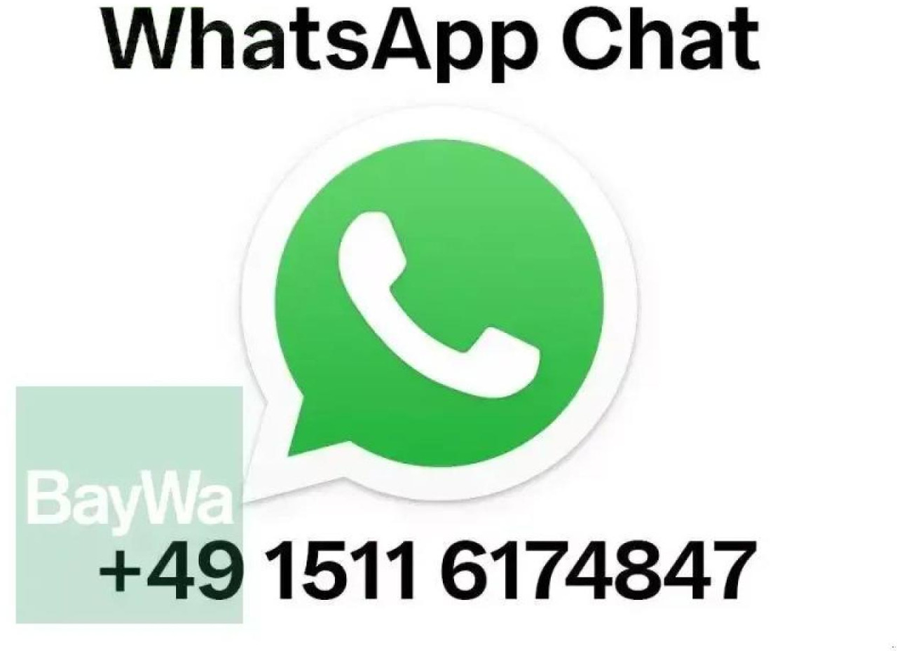 Maschio mter 300 6-reihig # 997 - Precision sowing machine: picture 2 Maschio mter 300 6-reihig # 997 - Precision sowing machine: picture 2