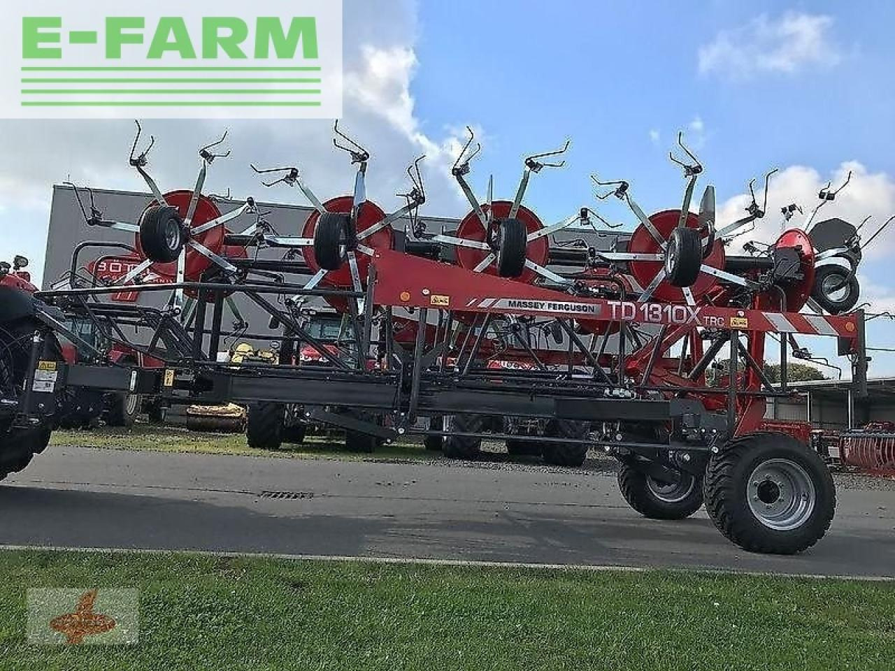 Massey Ferguson mf td 1310 x trc / lotus 1250 profi - Tedder/ Rake: picture 3 Massey Ferguson mf td 1310 x trc / lotus 1250 profi - Tedder/ Rake: picture 3