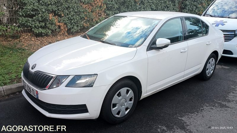 EP-729-TL - Non Roulant - SKODA OCTAVIA - VP -  349 390 Kms - Car: picture 1 EP-729-TL - Non Roulant - SKODA OCTAVIA - VP -  349 390 Kms - Car: picture 1
