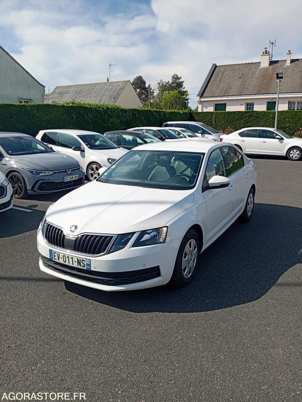 EV-011-NS - Roulant - SKODA OCTAVIA - VP - 389 000 Kms - Car: picture 2 EV-011-NS - Roulant - SKODA OCTAVIA - VP - 389 000 Kms - Car: picture 2