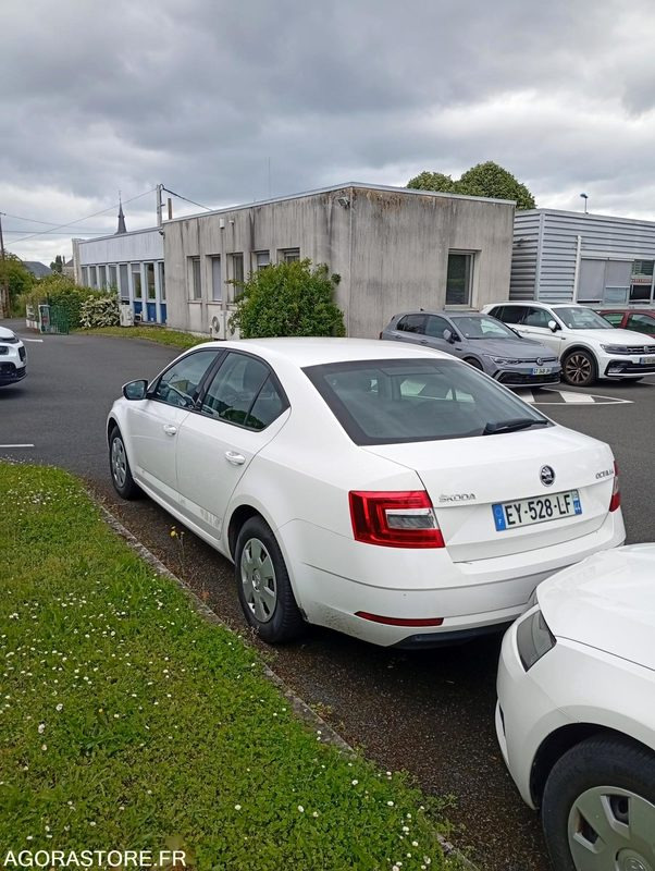 EY-528-LF - Roulant - SKODA OCTAVIA - VP - 421 000 Kms - Car: picture 3 EY-528-LF - Roulant - SKODA OCTAVIA - VP - 421 000 Kms - Car: picture 3