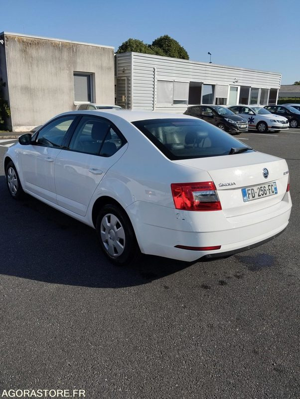 FD-256-FC - Roulant - SKODA OCTAVIA - VP - 417 000 Kms - Car: picture 5 FD-256-FC - Roulant - SKODA OCTAVIA - VP - 417 000 Kms - Car: picture 5