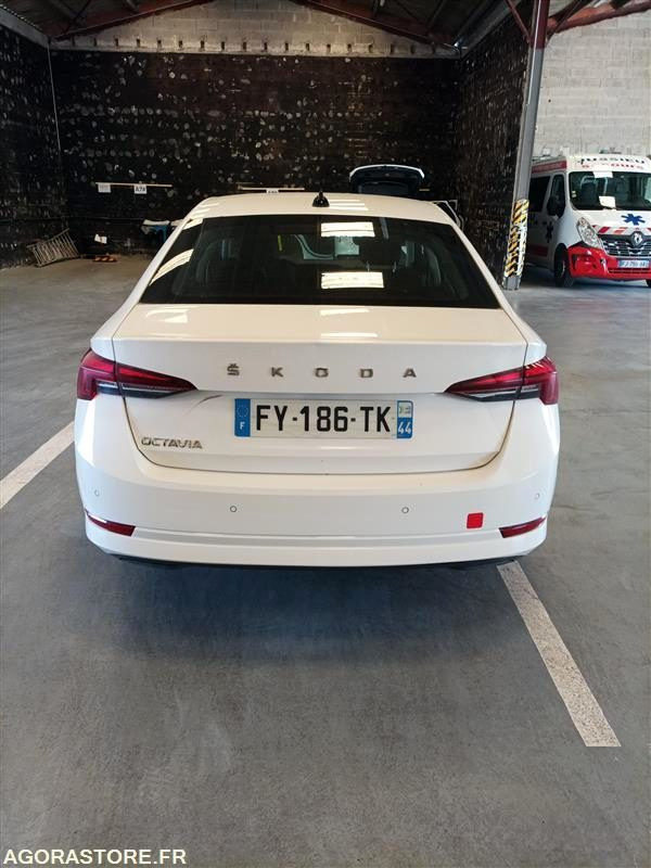 FY-186-TK - Non Roulant - SKODA OCTAVIA - VP - 331 460 Kms - Car: picture 4 FY-186-TK - Non Roulant - SKODA OCTAVIA - VP - 331 460 Kms - Car: picture 4