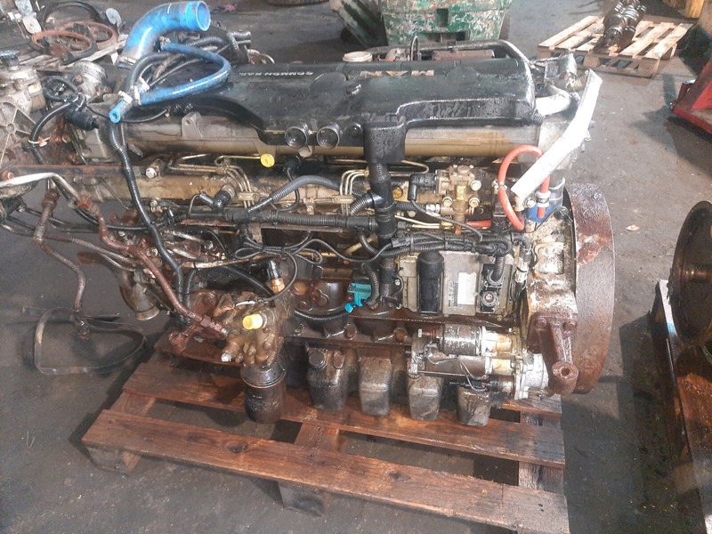 MAN D 0836 LOH56 - Engine: picture 1 MAN D 0836 LOH56 - Engine: picture 1