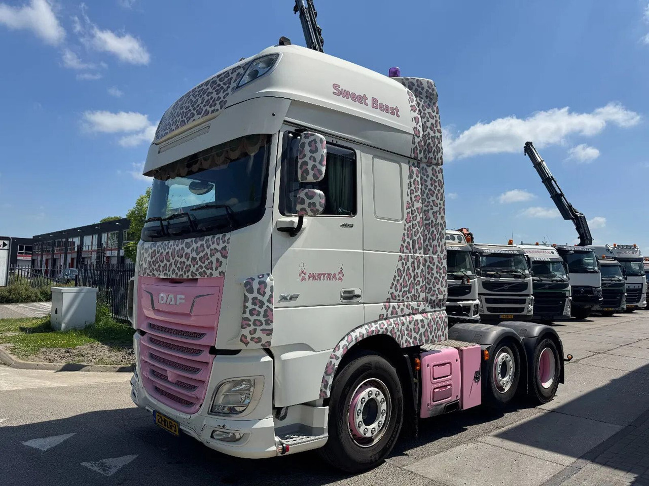 DAF XF 480 6X2 - EURO 6 + LIFT/STEERING AXLE + SPECI - Tractor unit: picture 1 DAF XF 480 6X2 - EURO 6 + LIFT/STEERING AXLE + SPECI - Tractor unit: picture 1