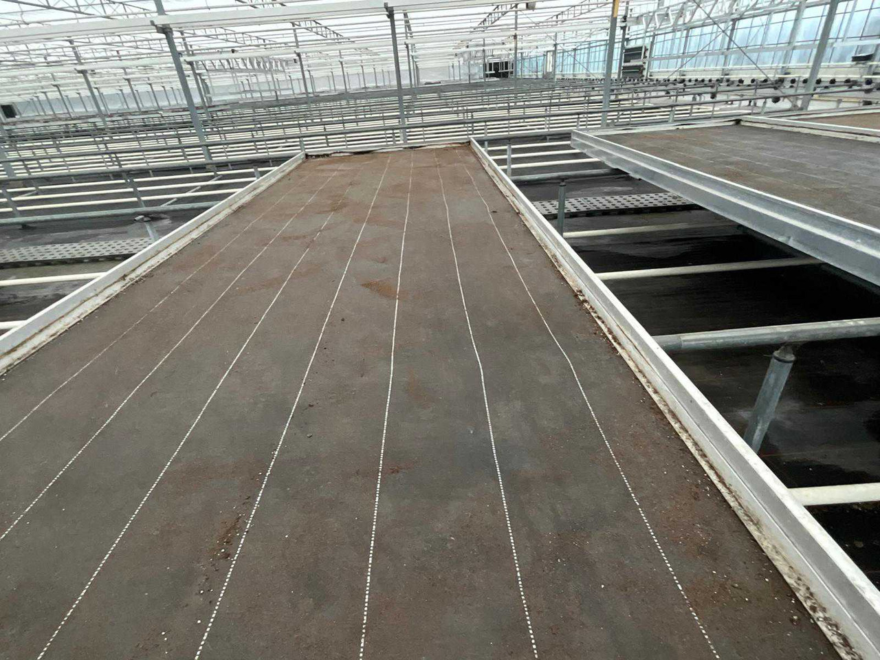 Aluminum cultivation table (4.50x1.63 mtr) (50x) - Agricultural machinery: picture 5 Aluminum cultivation table (4.50x1.63 mtr) (50x) - Agricultural machinery: picture 5