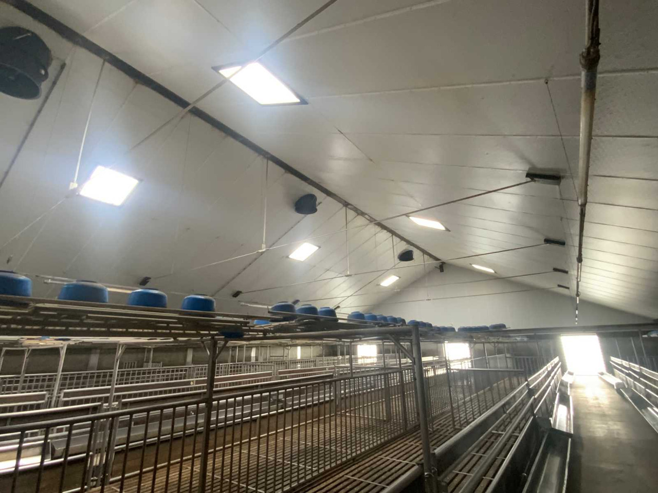 Complete prefab barn with solar panel installation - Livestock equipment: picture 5 Complete prefab barn with solar panel installation - Livestock equipment: picture 5